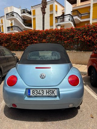 Volkswagen Beetle cabrio automarico