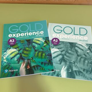 GOLD EXPERIENCE A2 2nd edition - Workbook