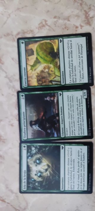 Mazo Commander Magic The Gathering
