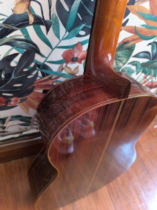 Guitarra Raimundo Modelo 140