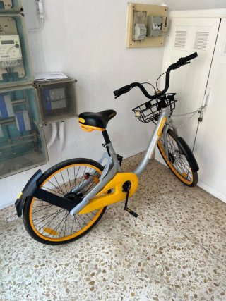 Bicicleta paseo