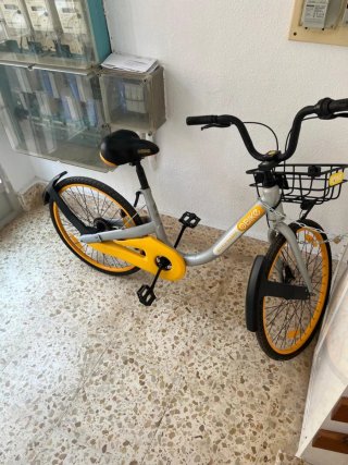 Bicicleta paseo