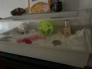 Hábitat / jaula para hamster (sin accesorios)
