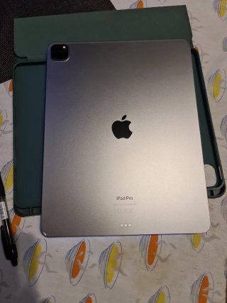 iPad Pro 12.9 M2 6ta Gen Plata 256 GB