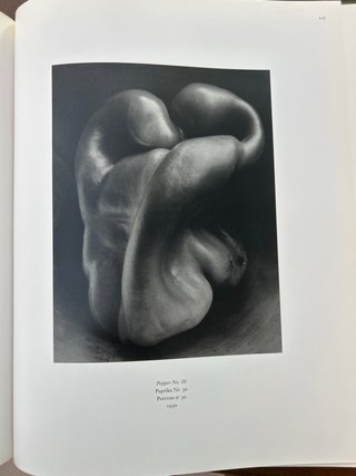 Text by Terence pitts Edired by Mangred Heiting