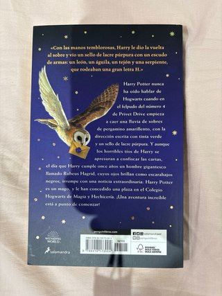 Harry Potter y la piedra filosofal (Harry Potte...
