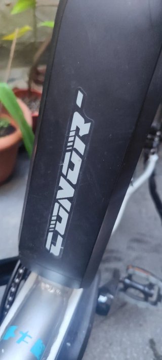 Bicicleta Eléctrica