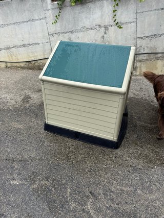 Caseta para perro beige y verde