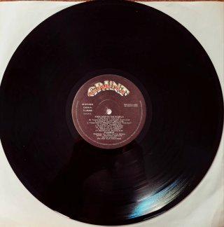 Starship Knee Deep In The Hoopla Vinilo