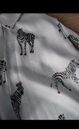 Camisa Zara Estampado Cebra