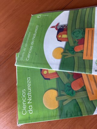 Libros  cole 6 primaria