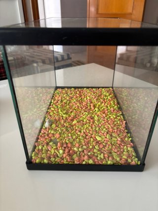 ACUARIO PEQUEÑO CON PIEDRAS DECORATIVAS
