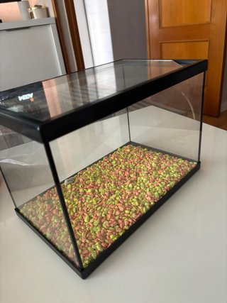 ACUARIO PEQUEÑO CON PIEDRAS DECORATIVAS