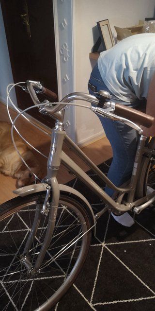 Bicicleta Paseo LIV FLOURISH 3 W 2018