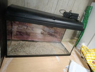 Acuario 100L Completo