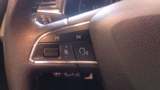 Seat Arona 1.0 TSI 85kW (115CV) DSG Xcellence Eco