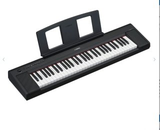 Teclado Yamaha Piaggero NP-15