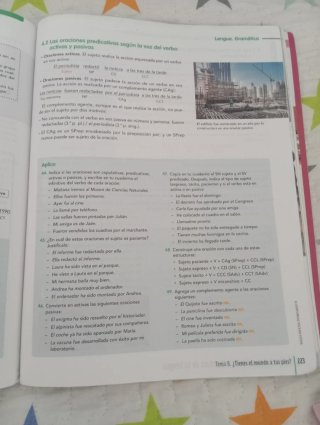Lengua Castellana y literatura