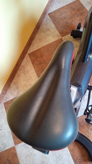 Bicicleta Spinning Salter Space con calas/ pedales