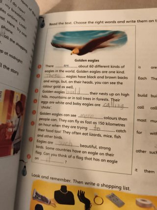 Storyfun Level 6 Student's Book with Online Act...