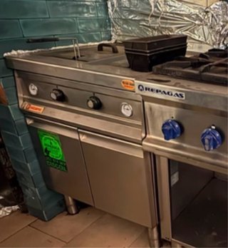 Freidora gas dos senos elframo