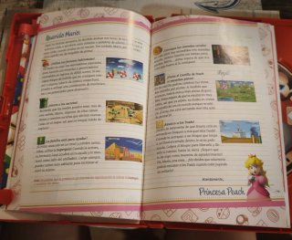Super Mario Bros Wii