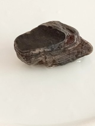 Piedra Colección Sierra Morena  - Vetas Bandeadas