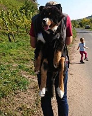 Mochila Transportín Perro XXL Negra Nueva