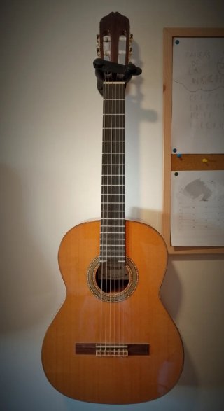 Guitarra Clásica Raimundo 128