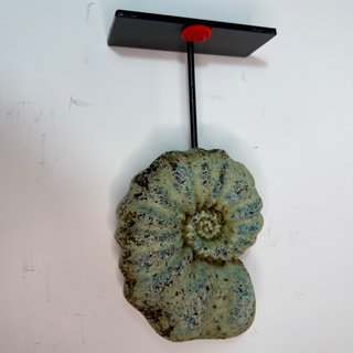 Réplica Amonite Verde