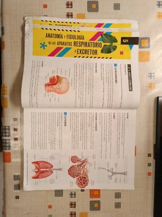 Proyecto: FanFest - Biología y Geología 3 ESO