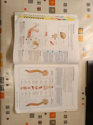 Proyecto: FanFest - Biología y Geología 3 ESO