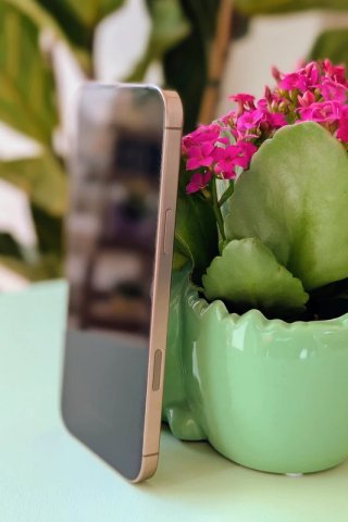 iPhone 16 Pro Max Dorado/Rosa