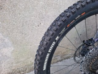 GIANT TRANCE ELITE/LIV INTRIGUE X