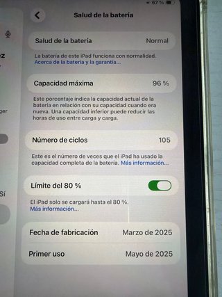 iPad mini