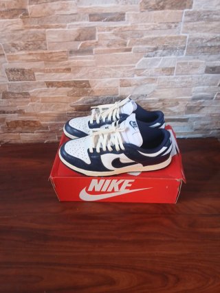 Nike Dunk Azul y Blanco
