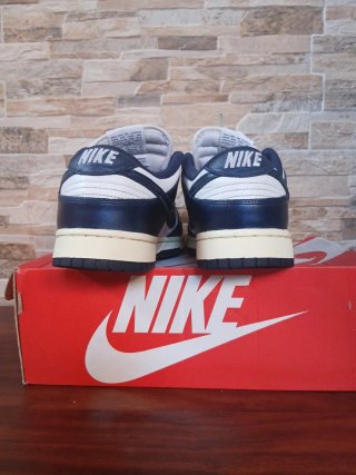 Nike Dunk Azul y Blanco