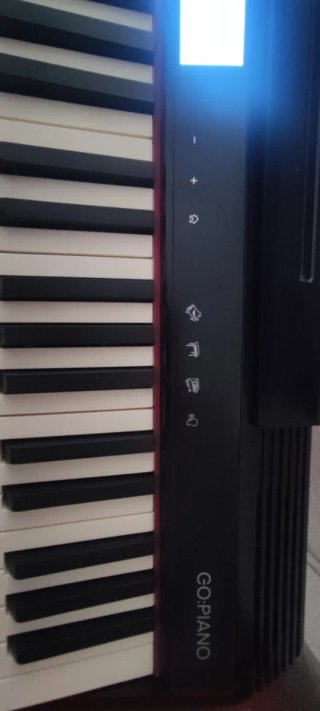 Roland GO-61P Piano Digital