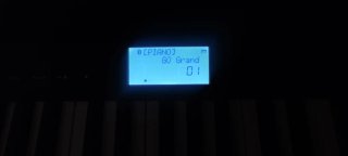 Roland GO-61P Piano Digital