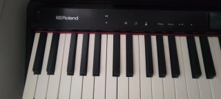 Roland GO-61P Piano Digital