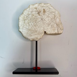 Réplica Amonite Blanca y Amarilla