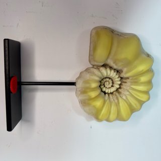Réplica Amonite Blanca y Amarilla