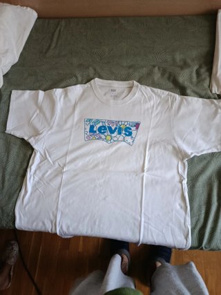 Lote camisetas