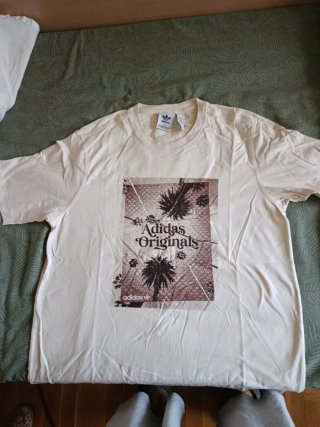 Lote camisetas