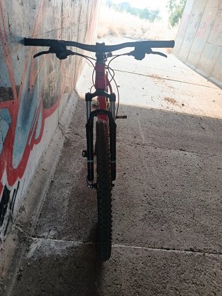Bicicleta Prowen 29