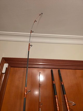 Cañas de pescar Bad Bass International