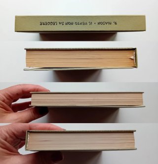 Il vento non sa leggere di Richard Mason