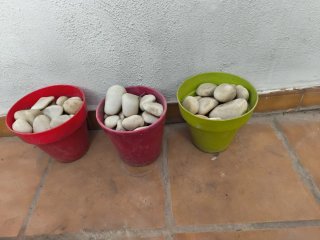 Macetas con piedras decorativas