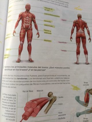 Biología y Geología. 3 Secundaria. Revuela. Com...