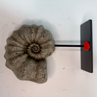 Réplica Amonite Gris
